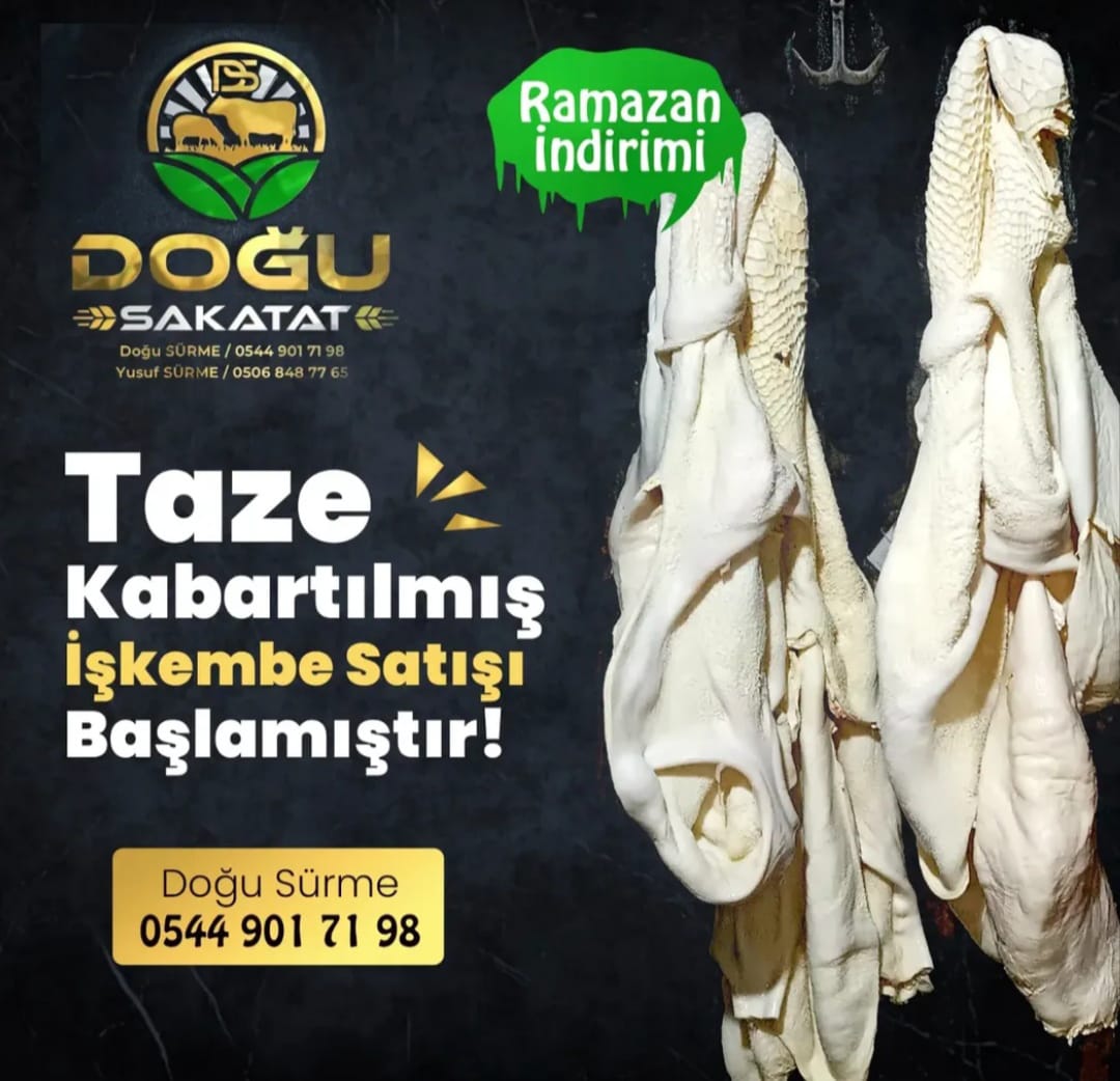 Doğu Sakatat